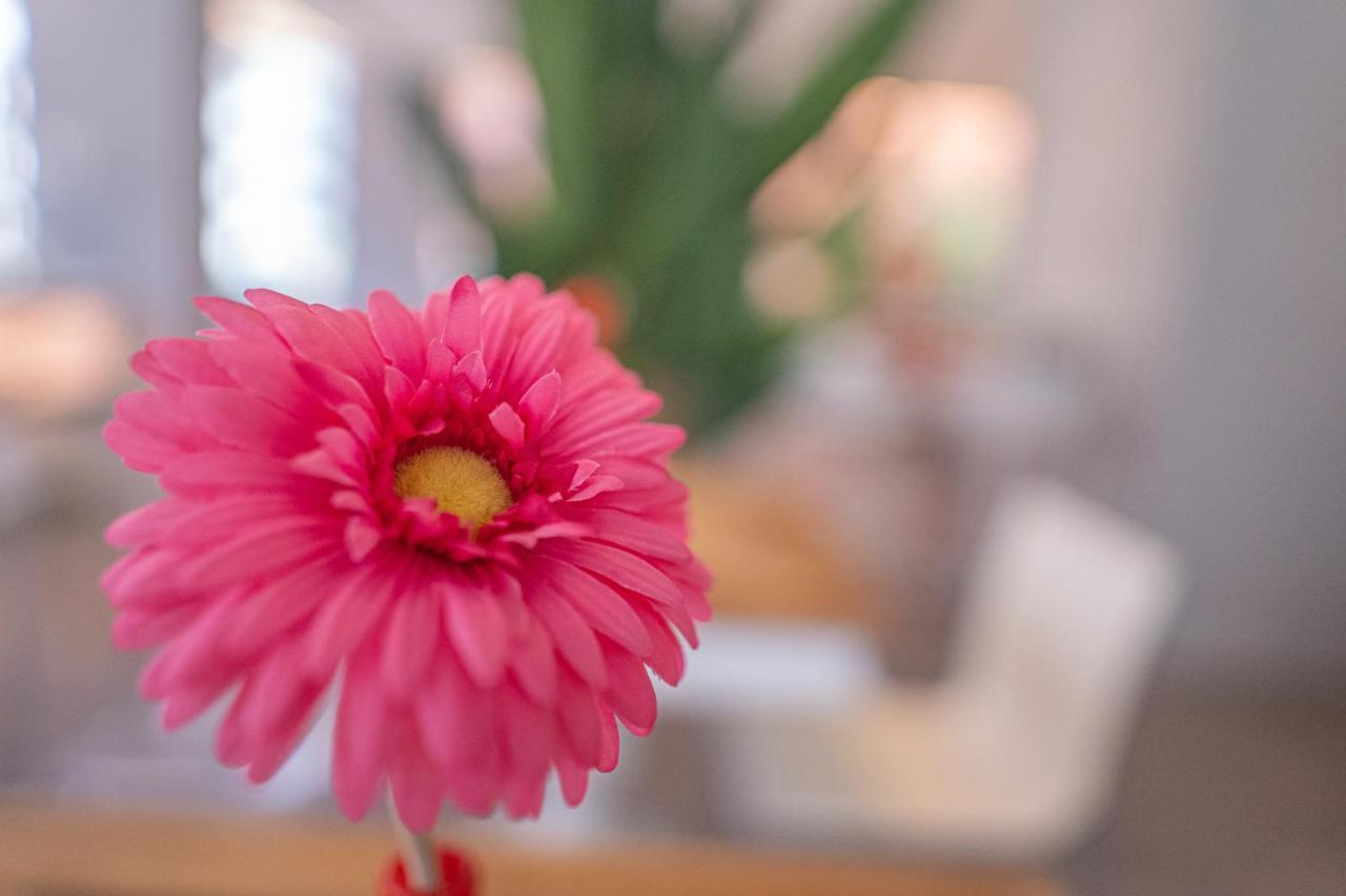 Design Hotel Astra B&B มิซาโน อาดรีอาติโก ภายนอก รูปภาพ